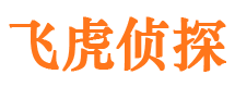 全椒市侦探调查公司